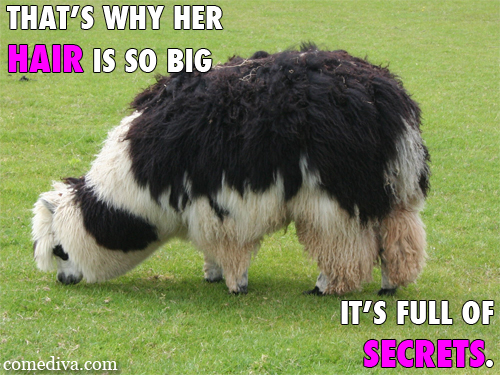 MEANANIMALS 5