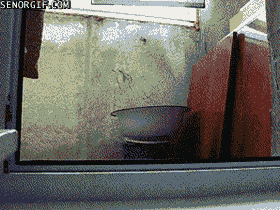 PDgif132410
