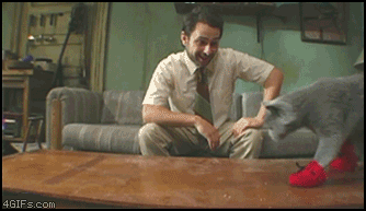 PDgif92410
