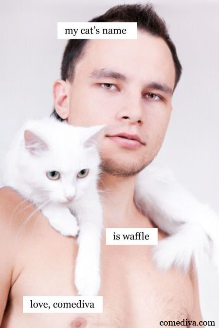 catcandy waffle108
