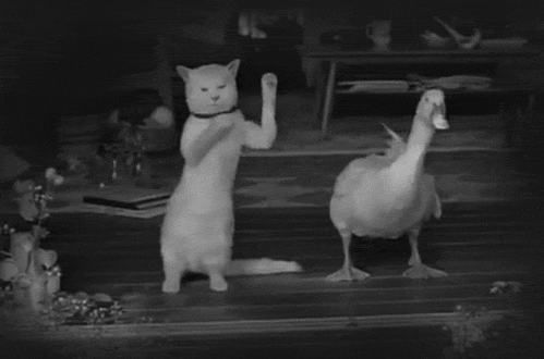 catduck1029