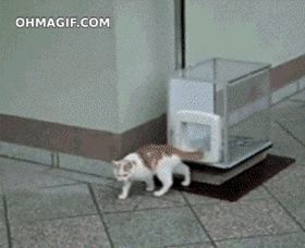 escapecat1029