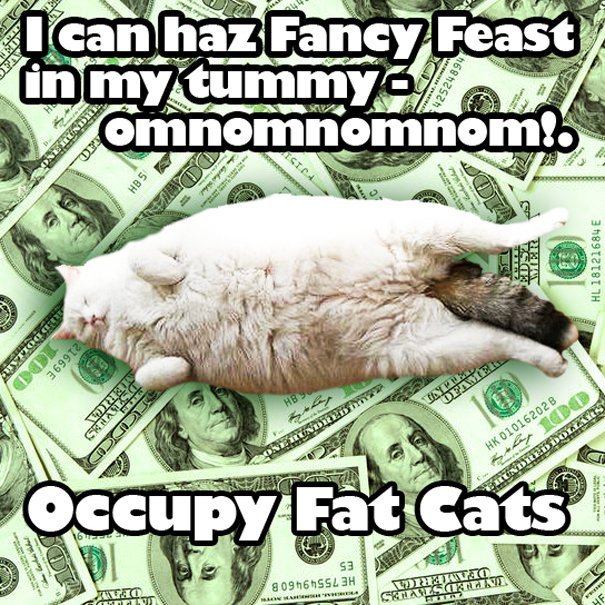 Cat-Meme-1