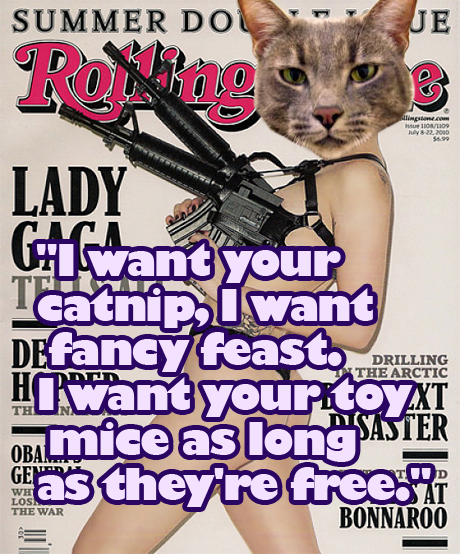 Cat-meme-3