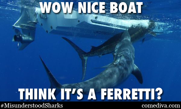 SHARKMEME_boat