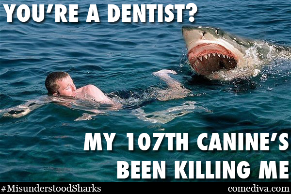 SHARKMEME_dentist