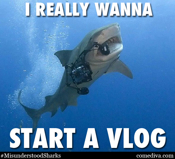 SHARKMEME_vlog