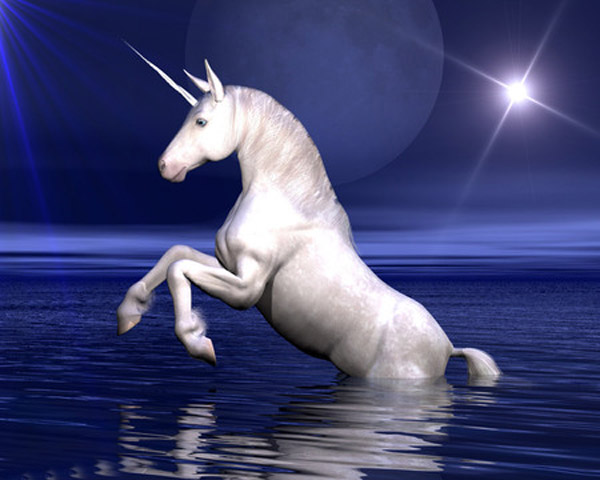 UnicornAloneatNight