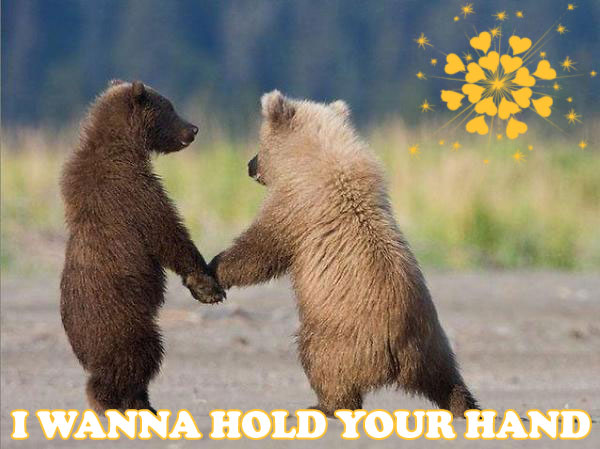 bearsholdinghands