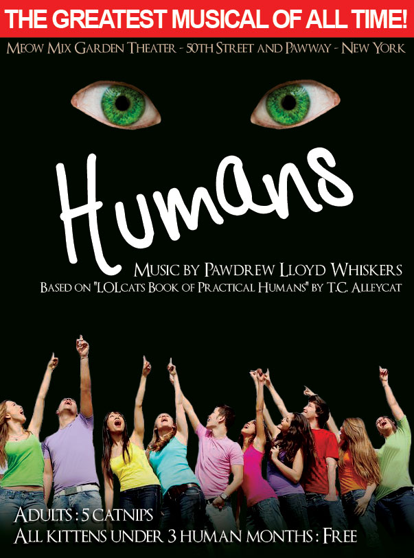cats-and-humans
