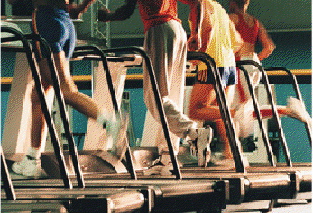 dont-be-an-ahole-gym