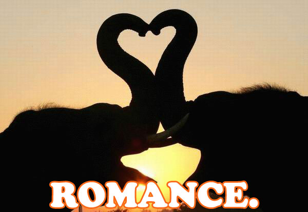elephantheart