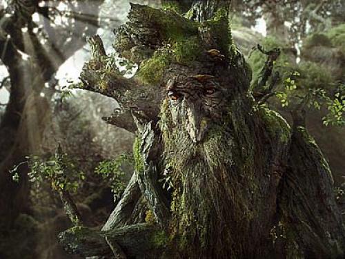 ent4062012