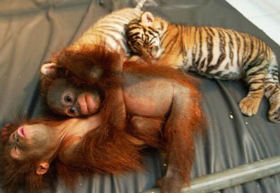 image-10-sleep-position