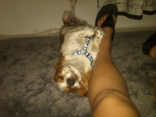 image-7-sleep-position