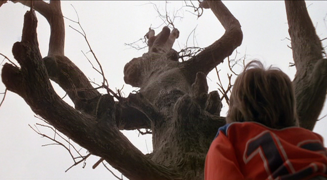 poltergeist4062012