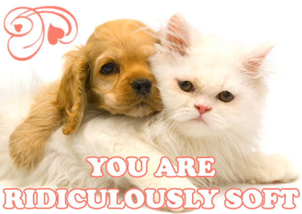 puppykittensoft