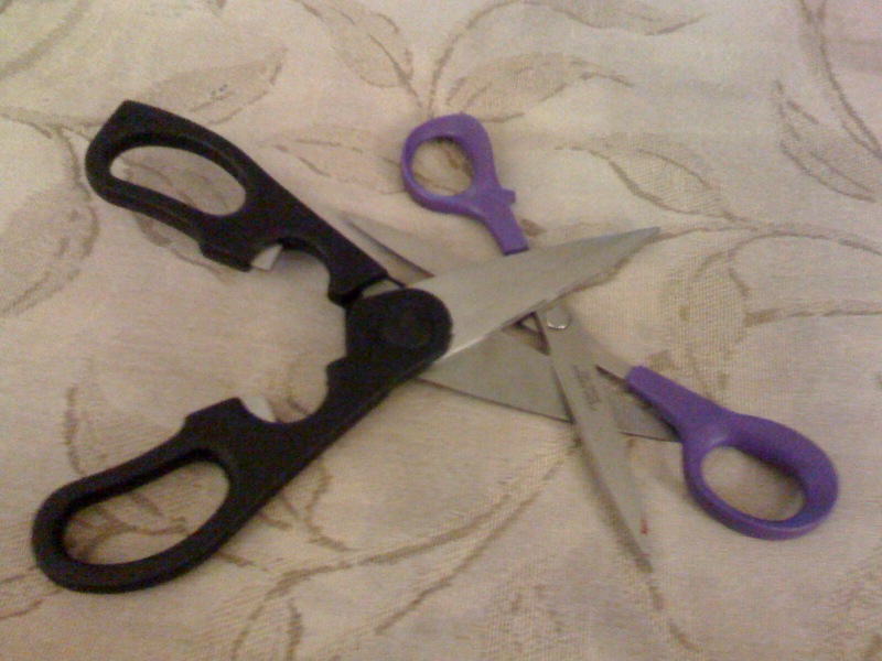 scissoring2222012