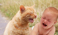 Inappropriate Babies