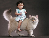 Inappropriate Babies