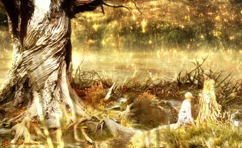 treeoflife4062012