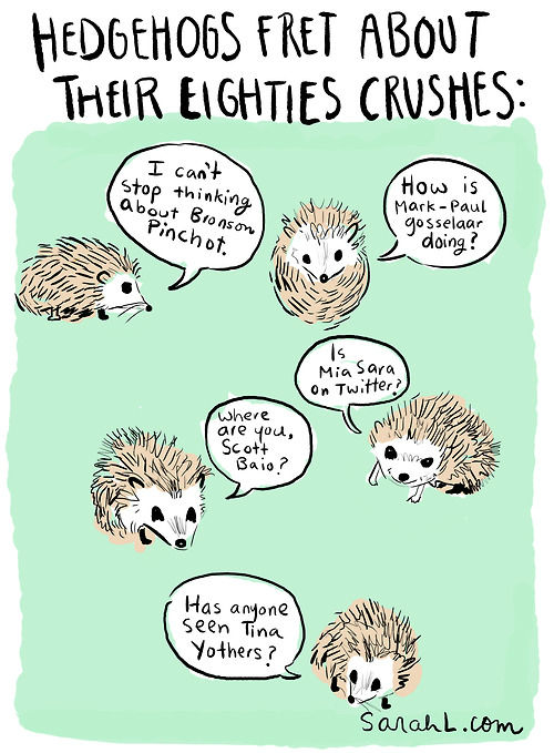 hedgehogs 80s crushes