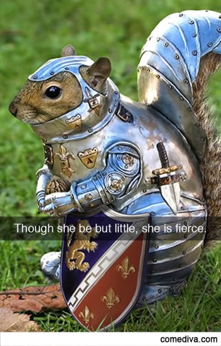 Shakespeare snapchat_squirrel