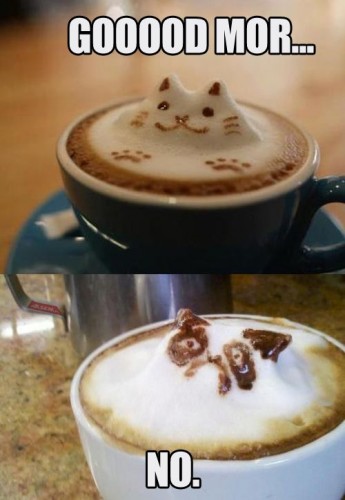 Cat Latte Art