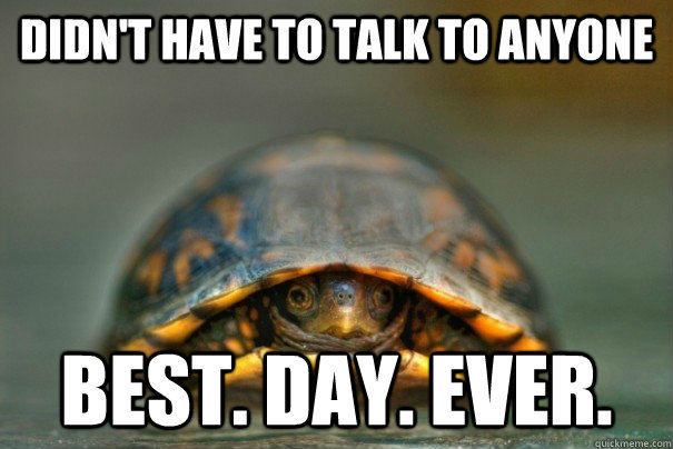 introvert turtle