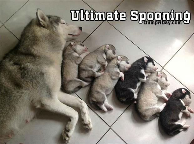 ultimate-spooning1
